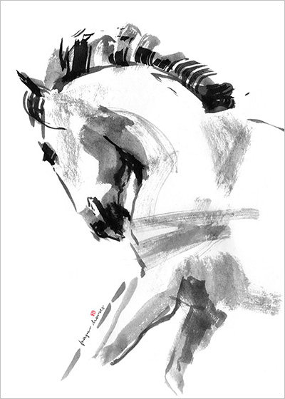 Piękny i młody (Lusitano) - plakat, Paper Horses