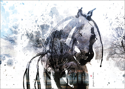Zamarzanie - plakat, Paper Horses